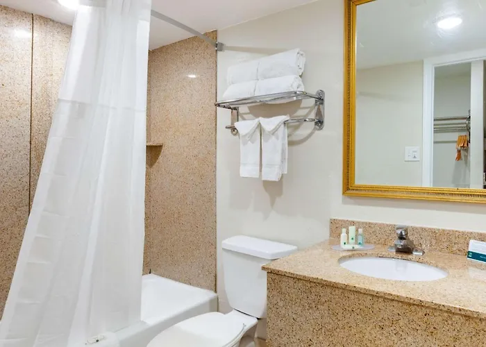 Hotel Hotel Embarque Unscripted By Hyatt